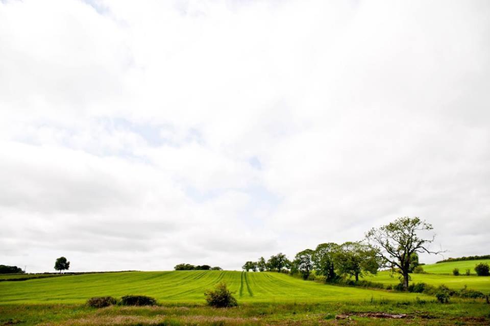 Bamflatt Farm Bed & Breakfast ストラスヘイブン 部屋 写真